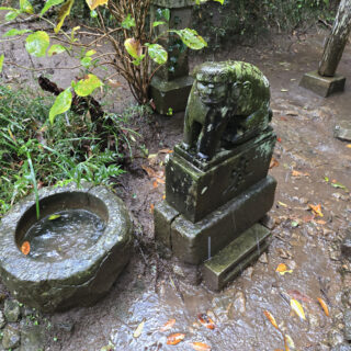 久し振りの大雨に遭遇