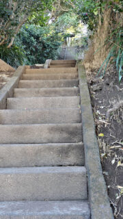 春の明るいお宮