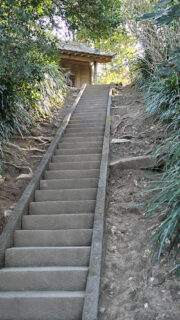 黄金色に輝いて