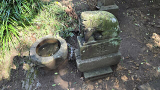 良いお湿りでした