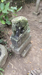 秋本番