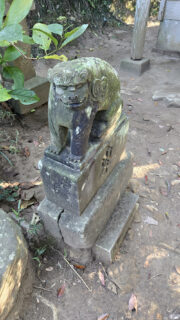 透明な陽射しです